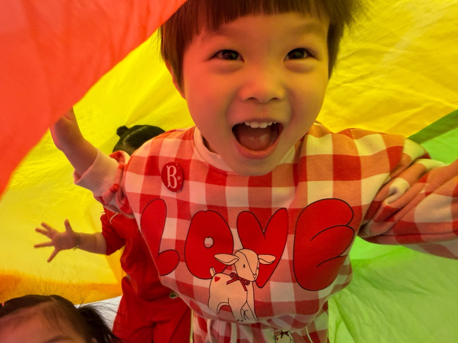 일상 사진 4